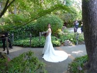 Wedding  2017-04-29 15-26-58 074